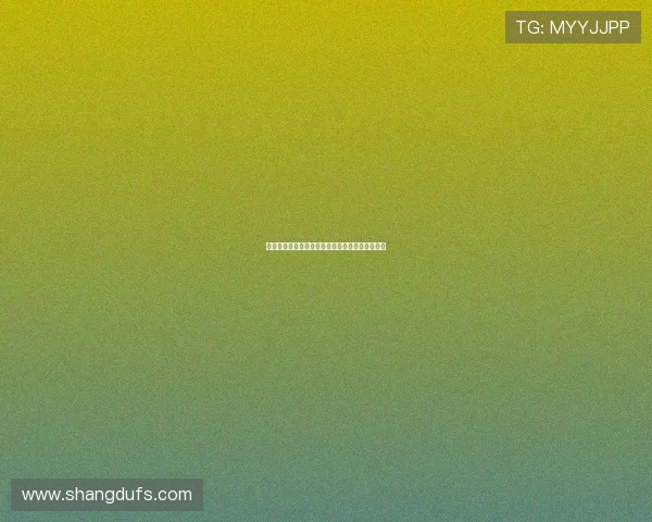 哈基米:从摩洛哥足球新星到国际舞台的闪耀之光